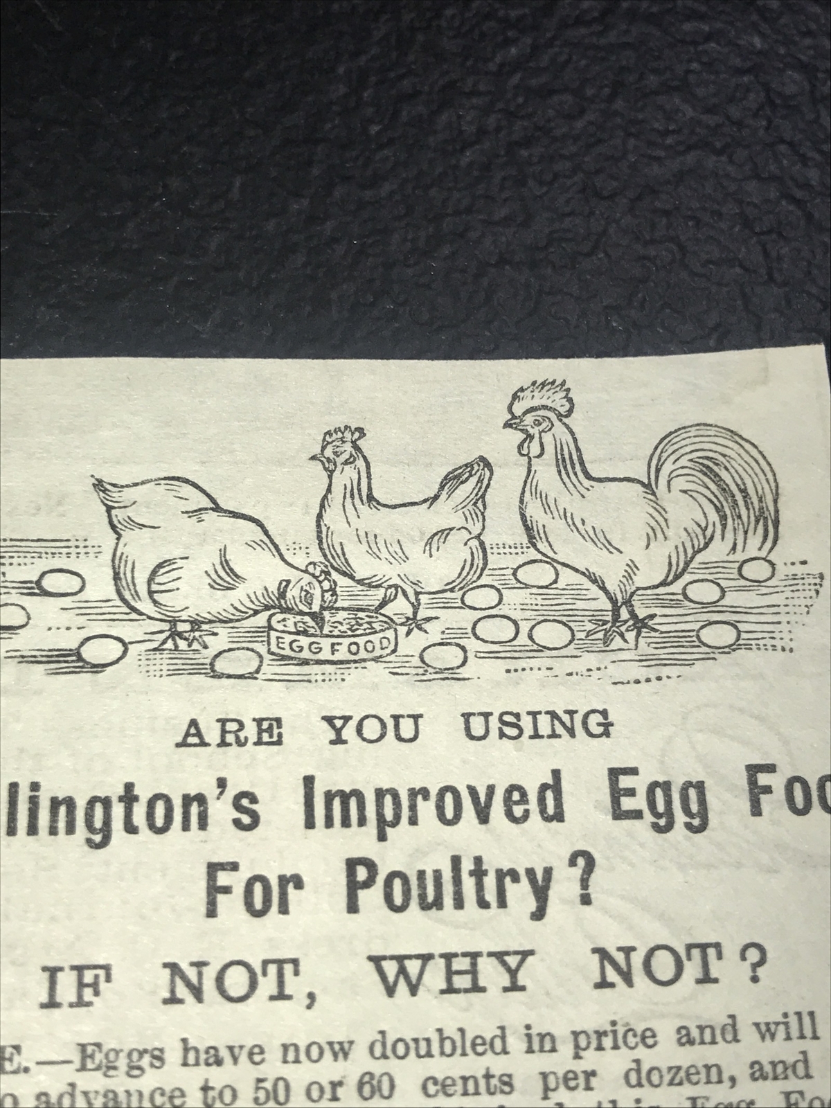 1886 Wellington Chicken Farm Advertising – San Francisco – California