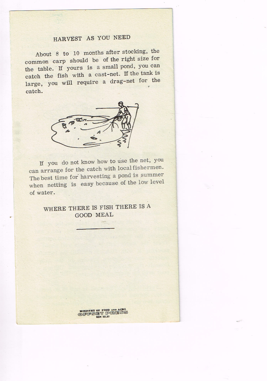 Vintage 1960s Farm Brochure New Delhi India Raise More Fish For Food