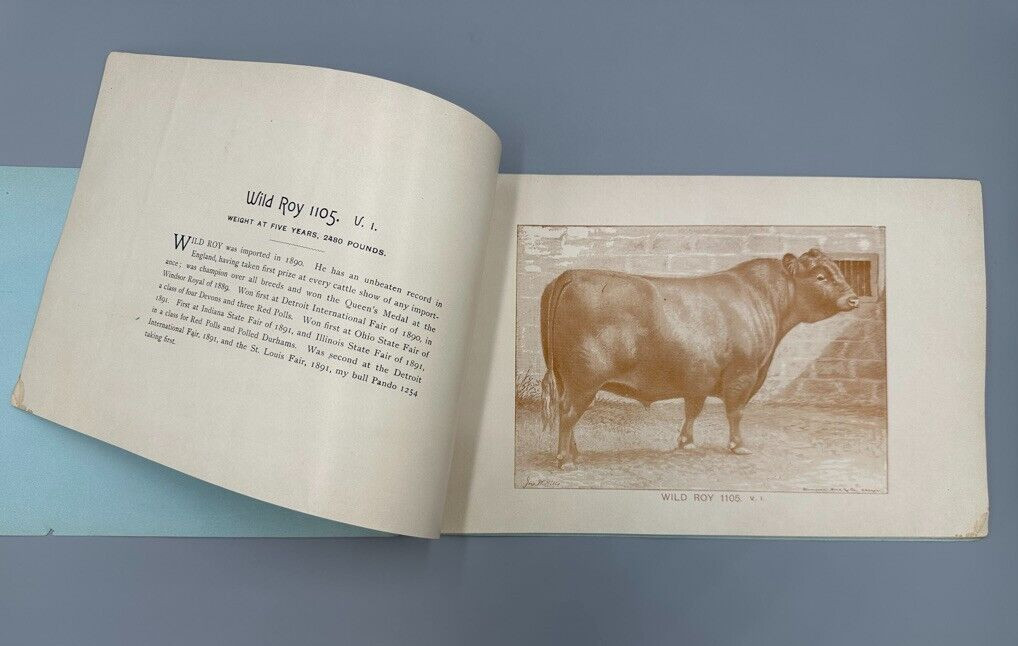 1892 RED POLLED CATTLE Farm Advertising Illustrated HERD BOOK Delaware Ohio