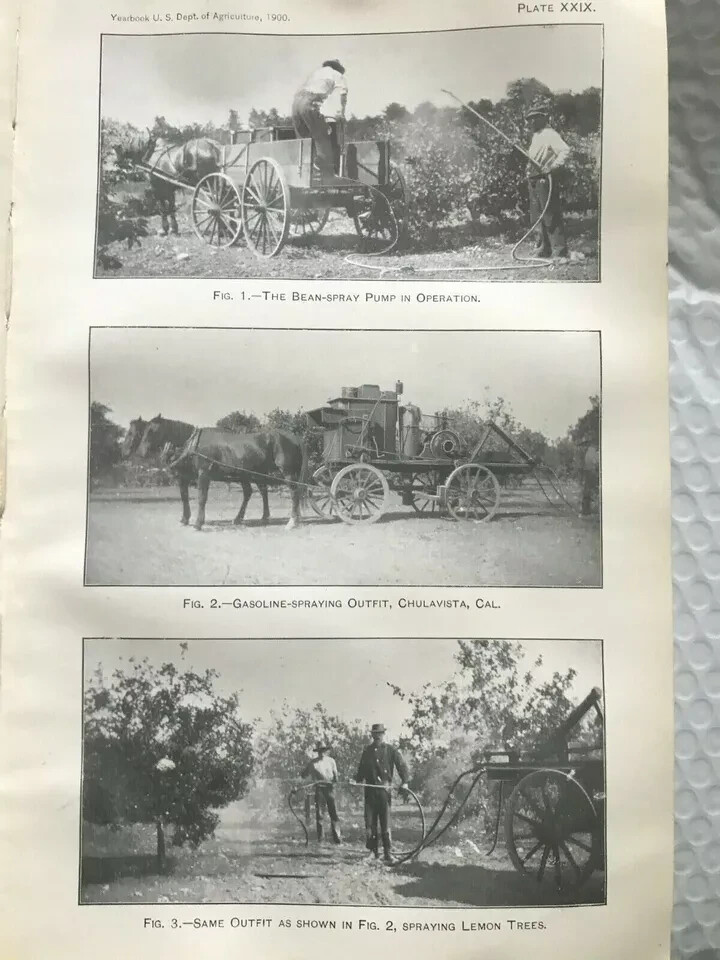 DEPARTMENT OF AGRICULTURE 1900 YEARBOOK WITH GRAPHS PHOTOS VINTAGE VERY RARE