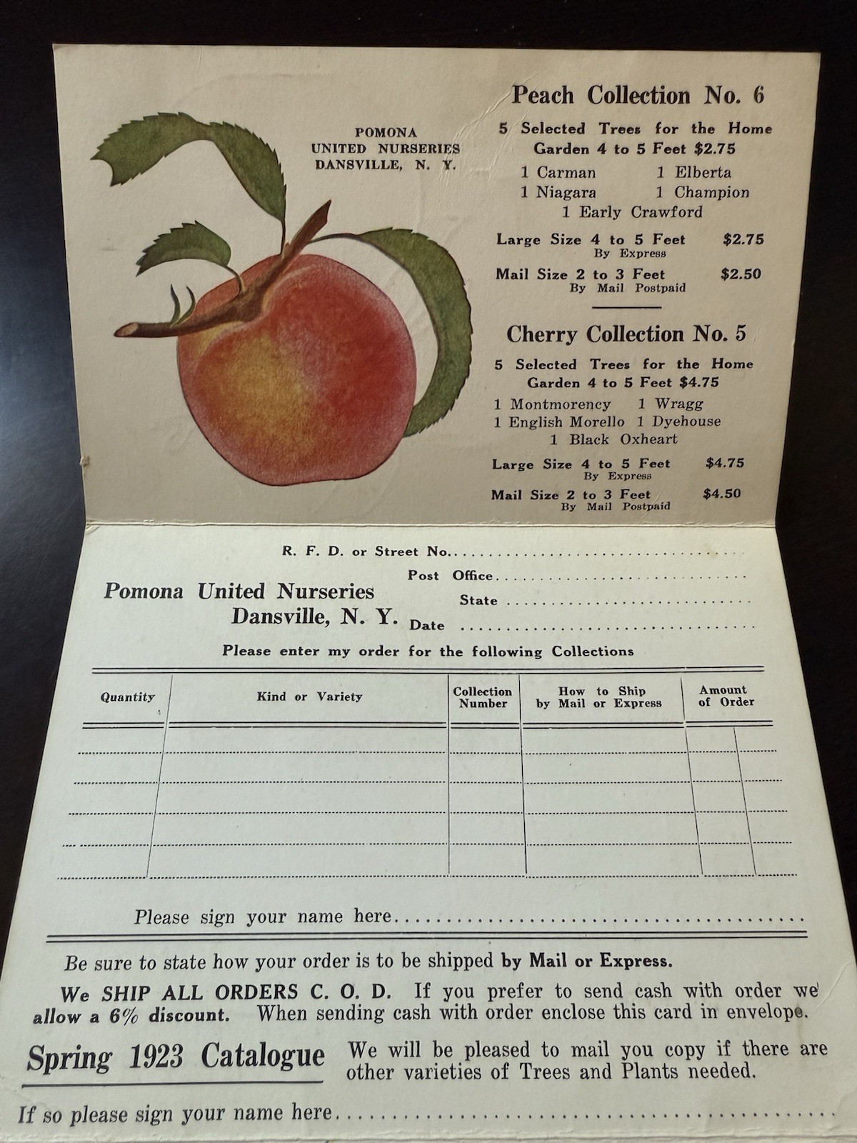 Pomona United Nurseries Dansville NY Postcard Folder Order Postcard Full Color