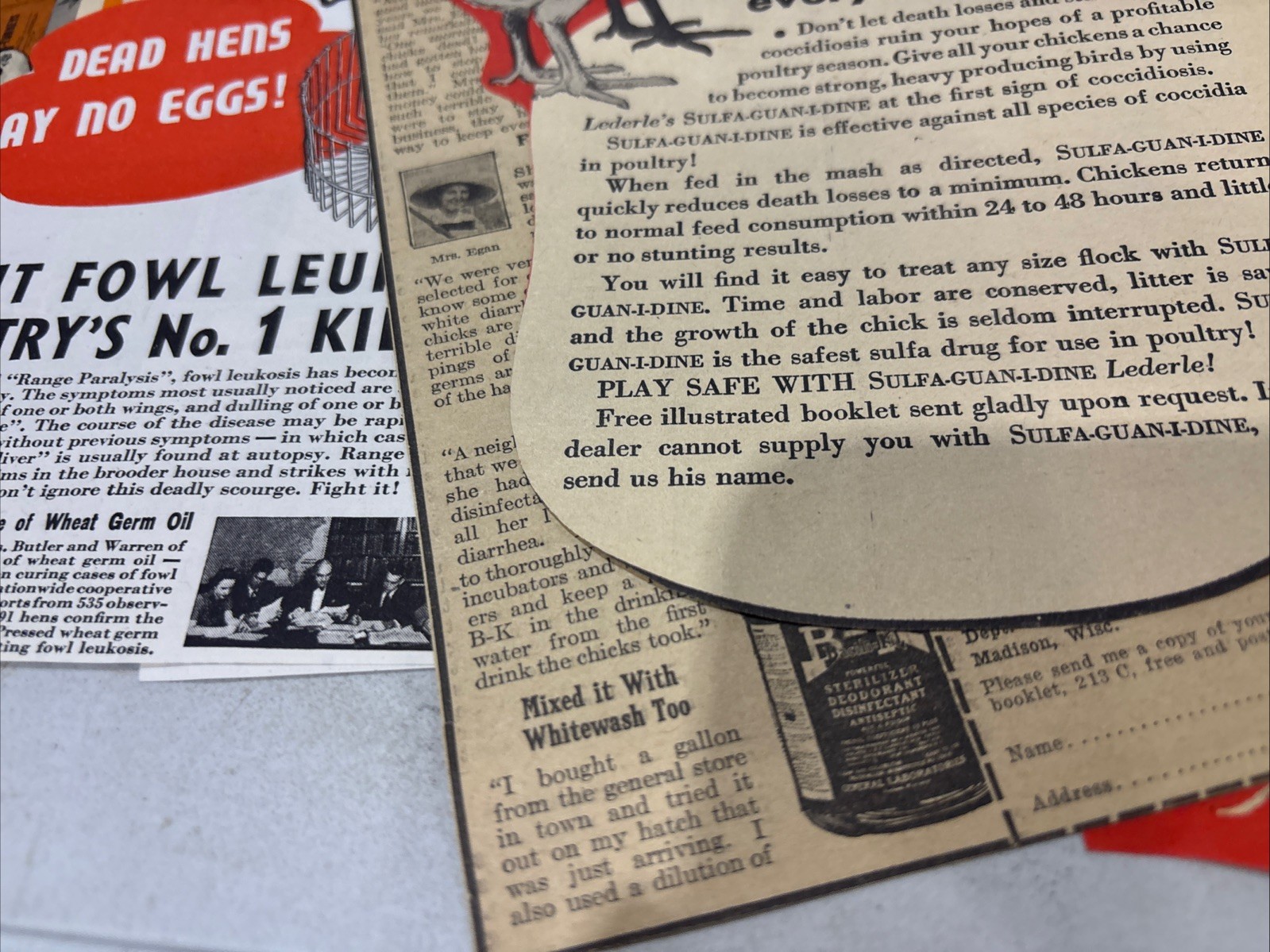 Lot Of 60 Chicken Poultry Egg Related Magazine Print ads 1930-50s