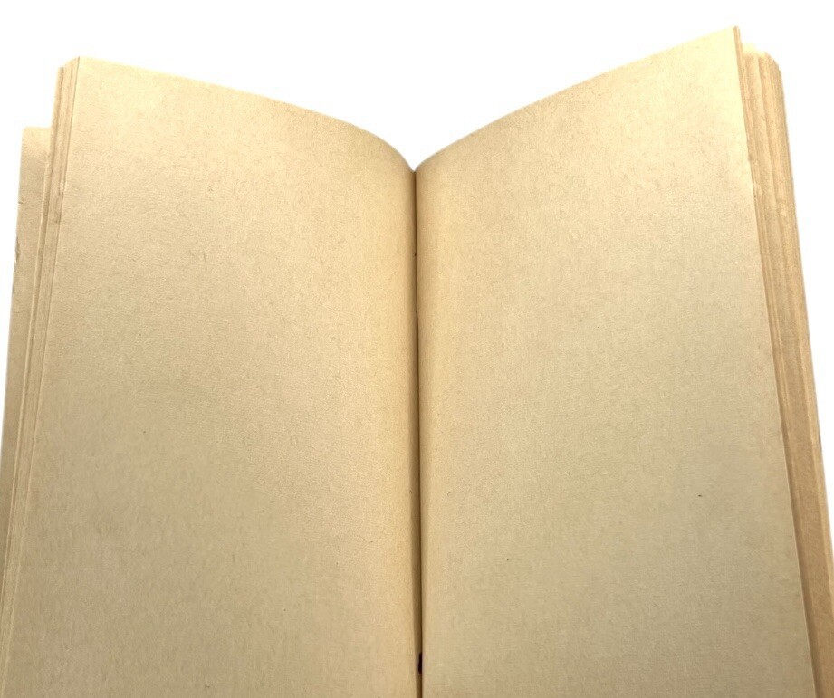 Funks Hybrid Corn Data Notebook 28th Edition 1966 New ZIA IIII Info Booklet