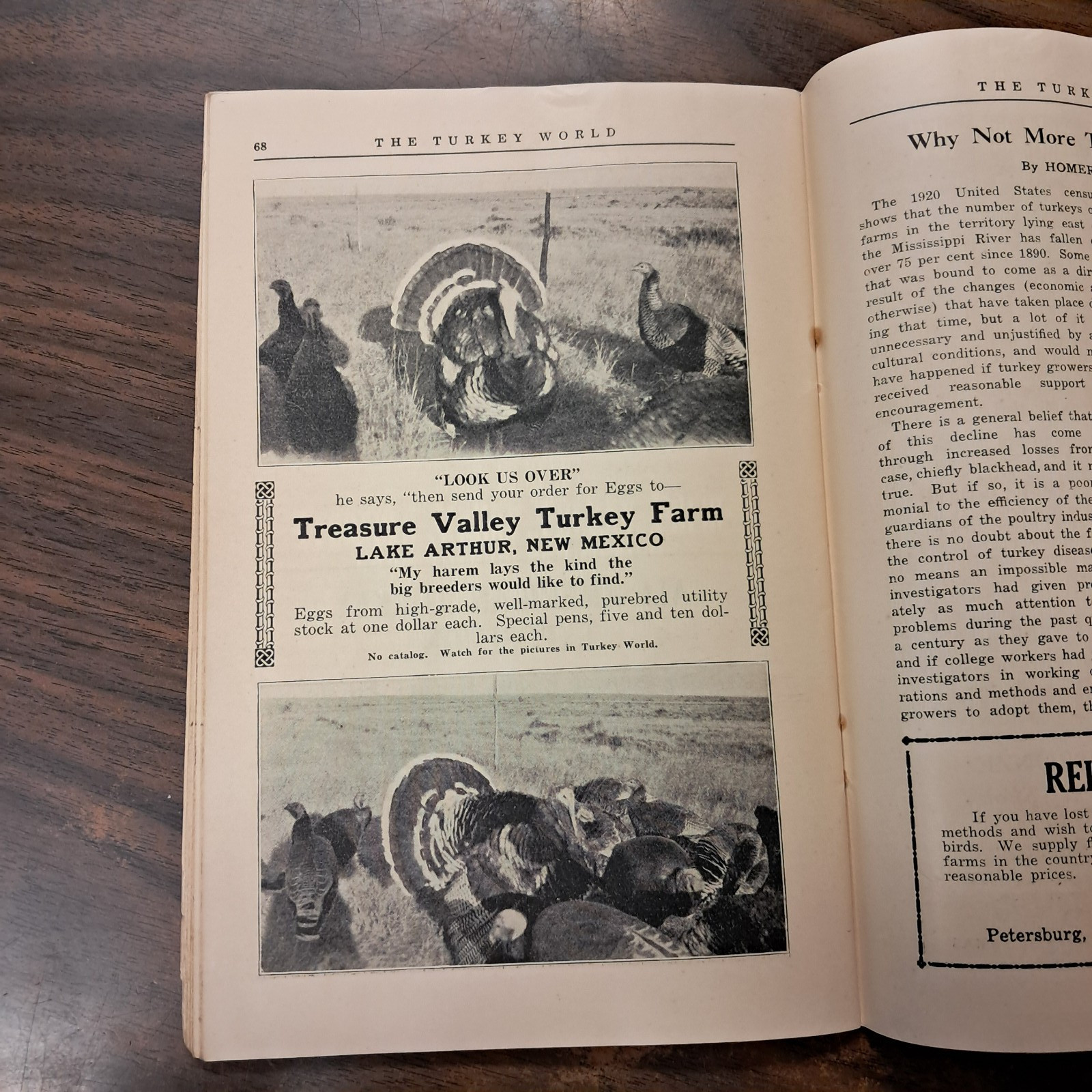 Vintage 1929 Turkey World Show Book & Talking Turkey Beacon Milling Co. N.Y.