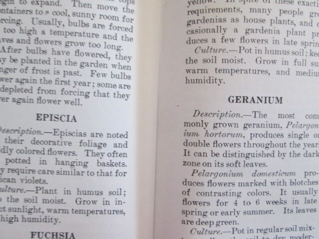 Selecting And Growing House Plants Brochure, U.S. Department Of Agriculture 1976