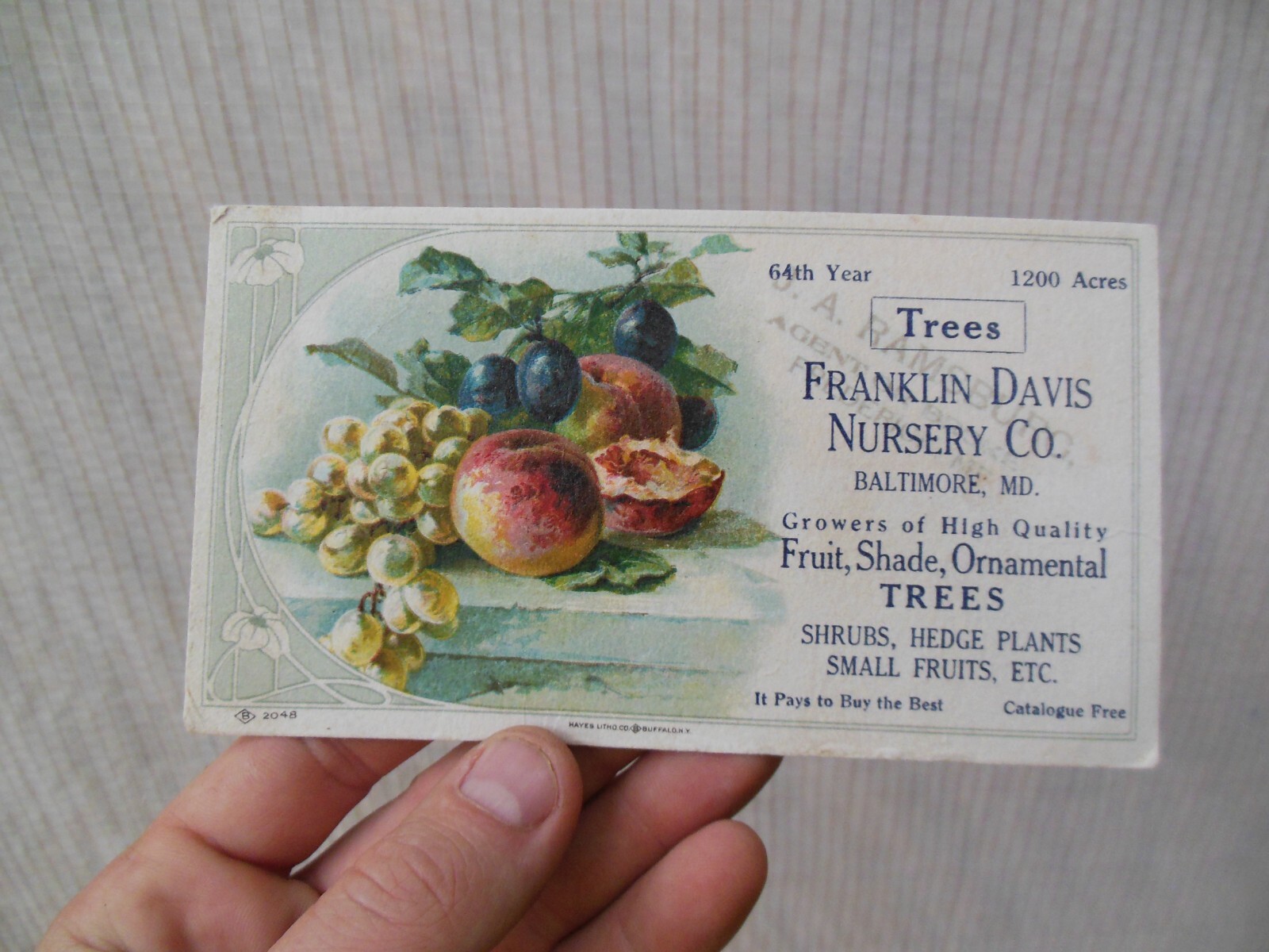 Vintage Advertising Card Sign Franklin Davis Nursery Co Trees Baltimore Maryland