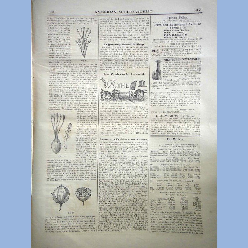 1863 JUL antique AMERICAN AGRICULTURIST farm garden household orange judd