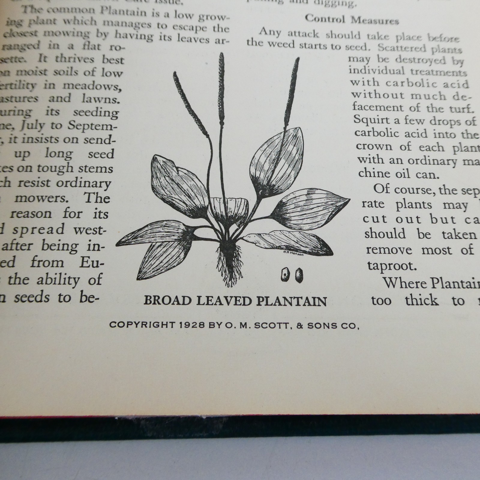 Scotts Lawn Care Bulletins 1928 to 1941 Bound Book Grass Seed Newsletter Vintage