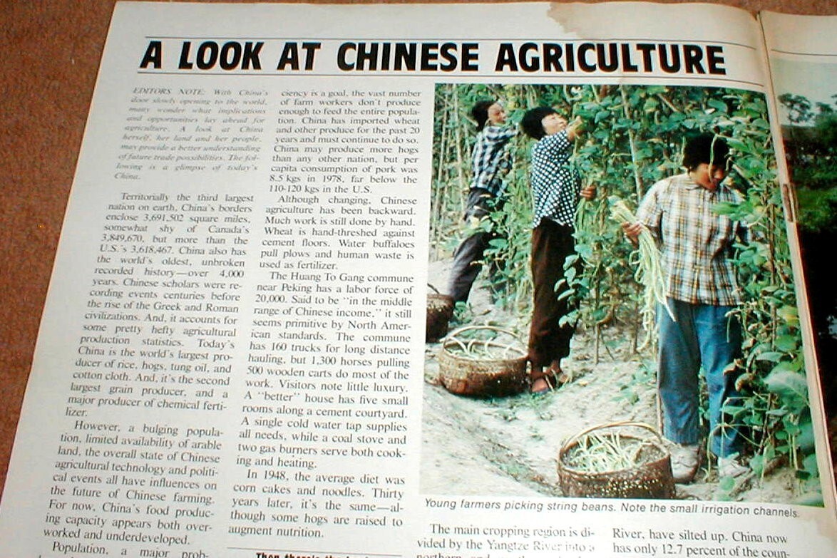 Sperry New Holland News Full Color 1981 Magazine Vol 28 No 5