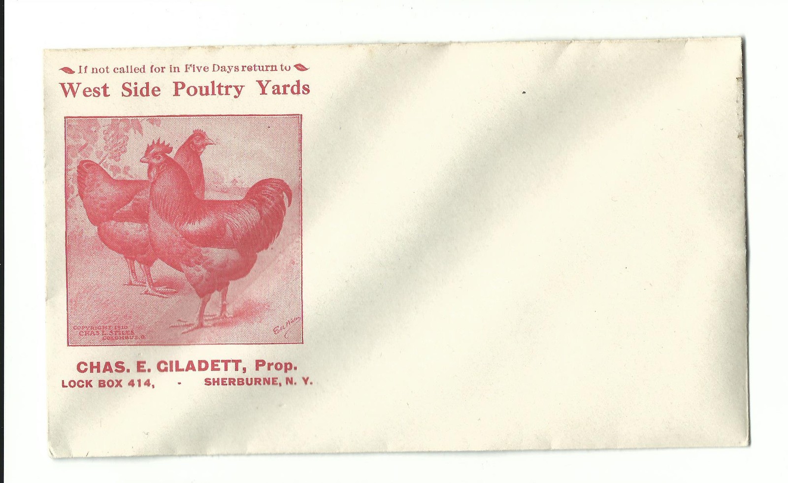 Old Advertising Envelope West Side Poultry Yards Chas Giladett Sherburne NY