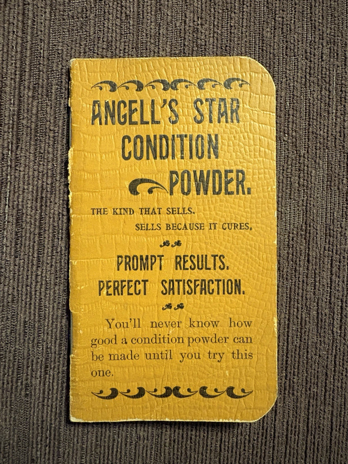 Antique Angell’s Star Condition Powder Knoxville PA Advertising Memo Notebook