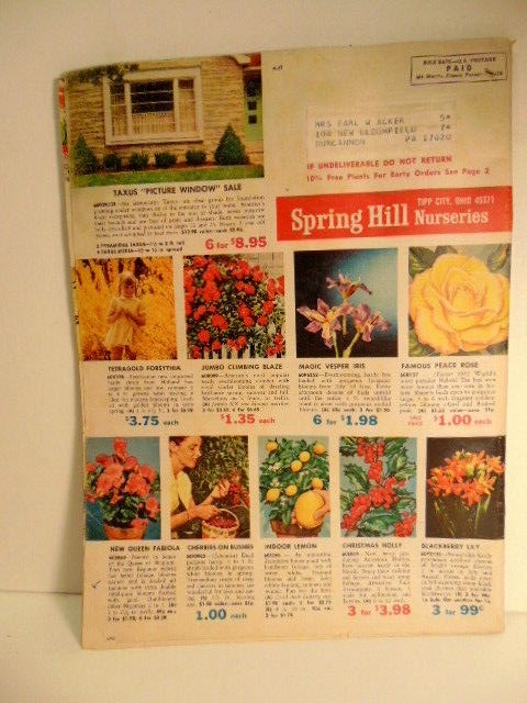 Vintage spring 1967 Spring Hill Nurseries catalog; Tipp City, OH