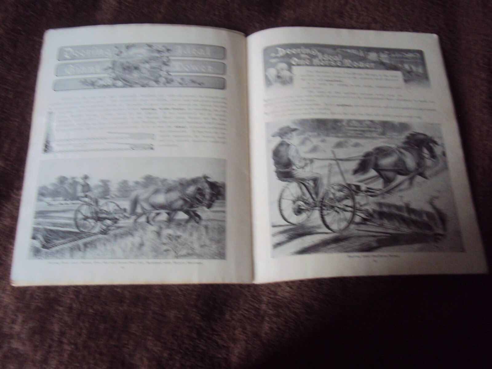 1901 Deering Harvesting Machinery Catalog 36 page SB