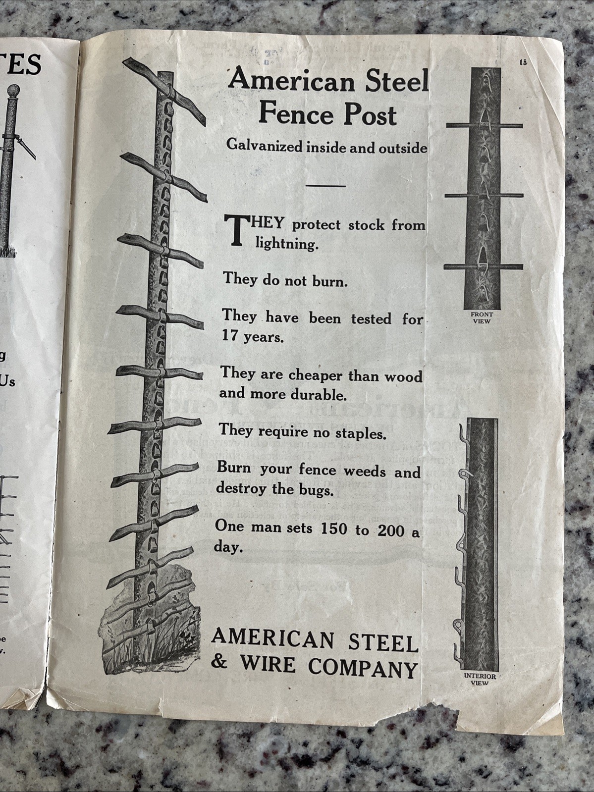 Antique 1915 American Farm Fence Cattle Trade Magazine Comet Shorthorn Bull