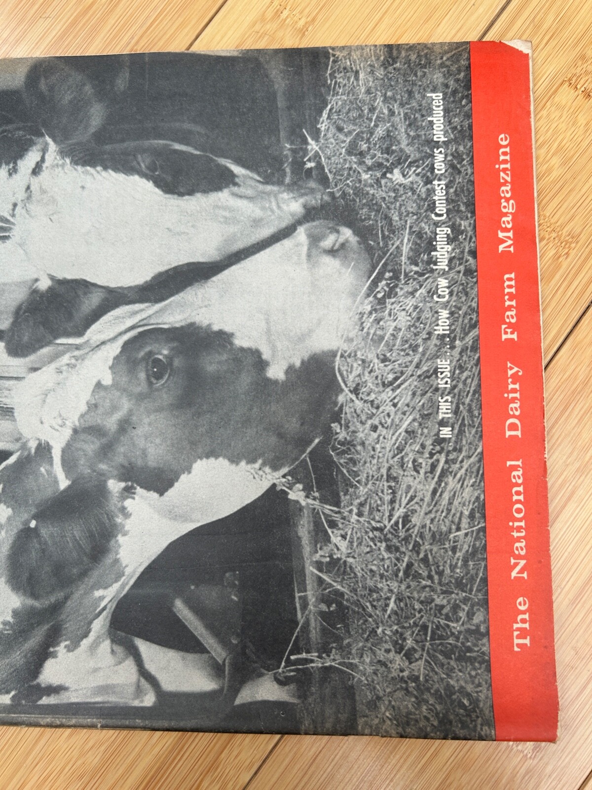 APR 10 1963 HOARD&rsquo;S DAIRYMAN DAIRY FARM MAGAZINE JUDGING CONTEST COWS PRODUCED