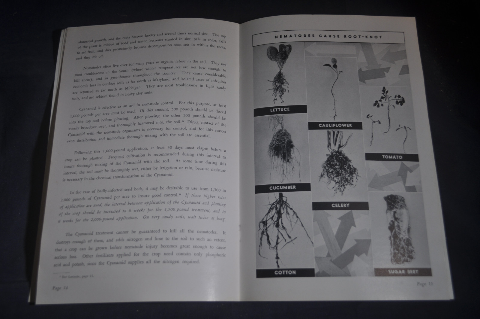 1932 The Cyanamid Plan For Soil Sterilization & Weed Control Brochure