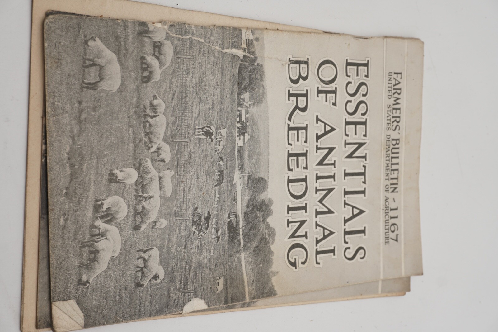 Huge Lot Early 1900s Agricultural Farming Livestock Pamphlets Literature Vintage