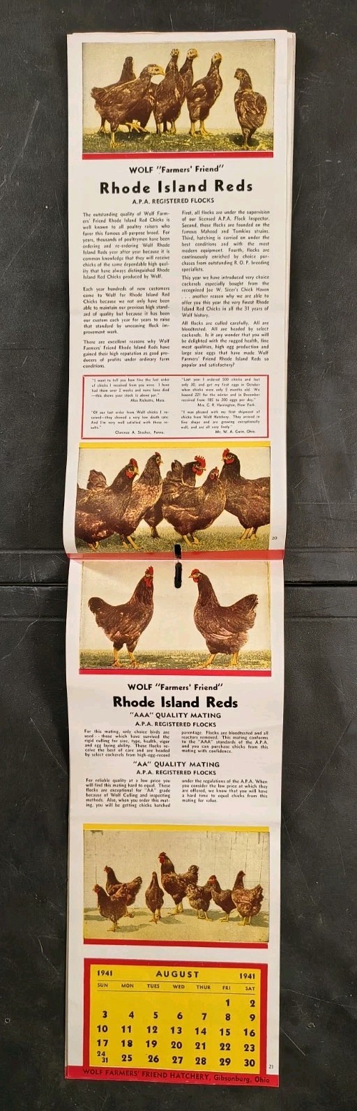1941 Wolf Baby Chicks Catalog Calendar Sale Brochure Chicken Farming Advertising