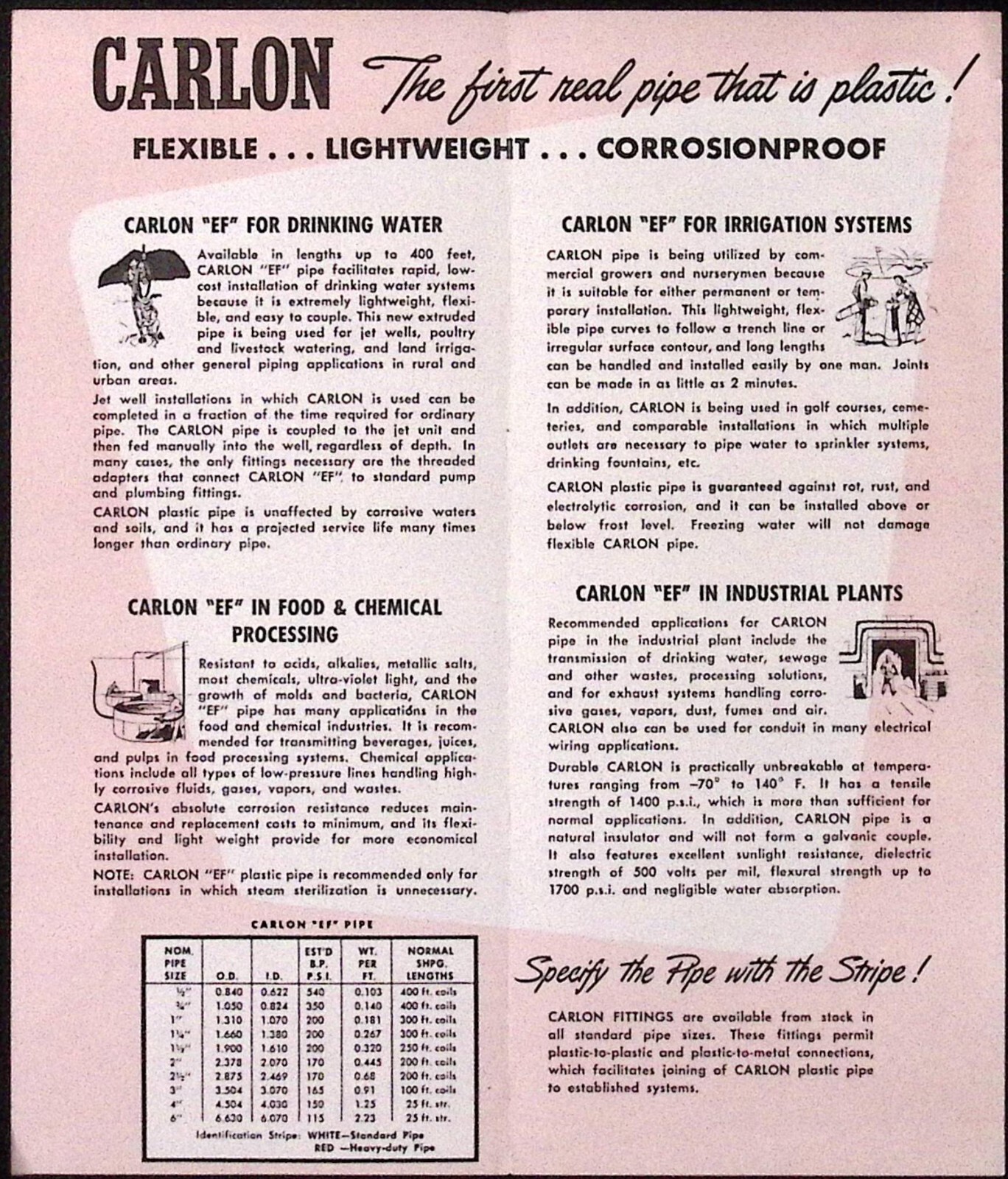 1961 Carlon EF Flexible Plastic Pipe Carter Products Corp Cleveland OH Brochure