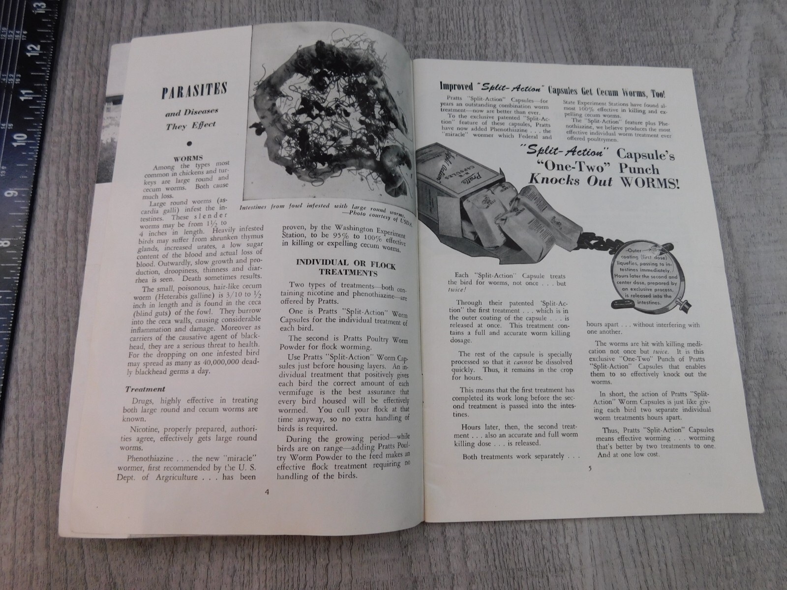 The Poultry Health Guide Vintage Pamphlet Raising Chickens Houses Hoppers Range