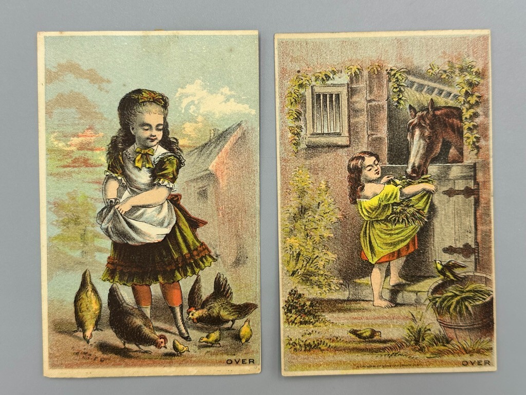 1880s Pair COLUMBIA CHILLED PLOW Horse Chickens FARM Advertising Trade Card