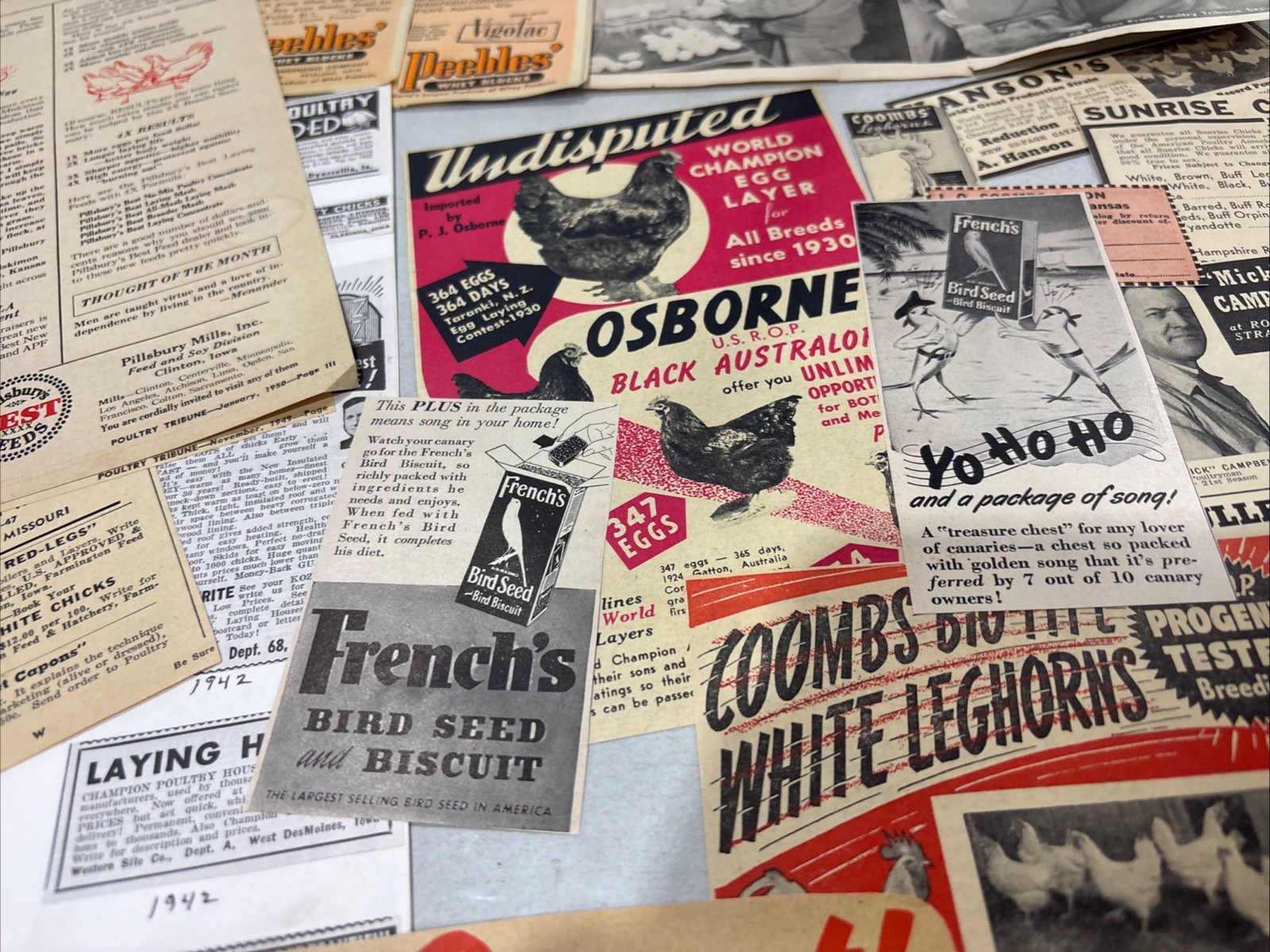 Lot Of 60 Chicken Poultry Egg Related Magazine Print ads 1930-50s