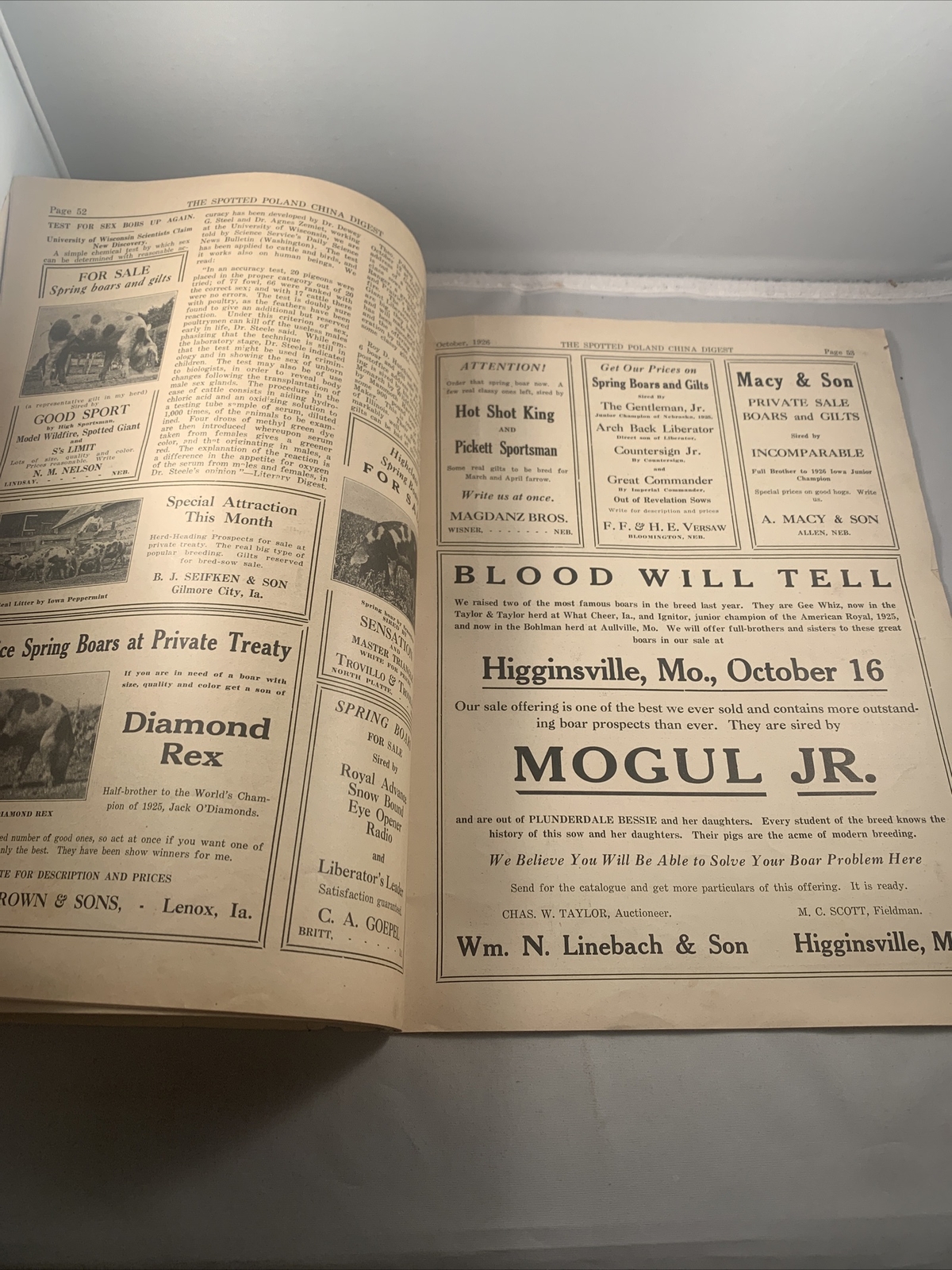 Spotted Poland China Pig Hog Digest October 1926 Missouri Kansas City Catalog