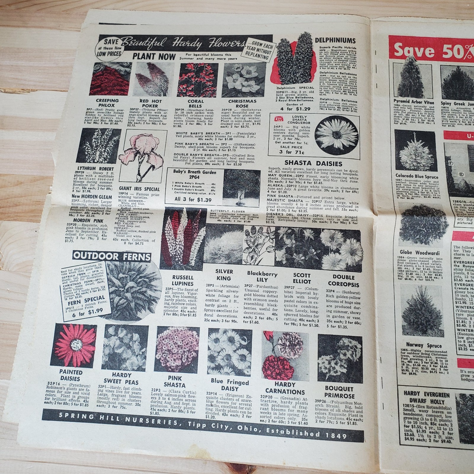 VTG spring 1958 Spring Hill Nurseries catalog; Tipp City, OH 109th Anniversary