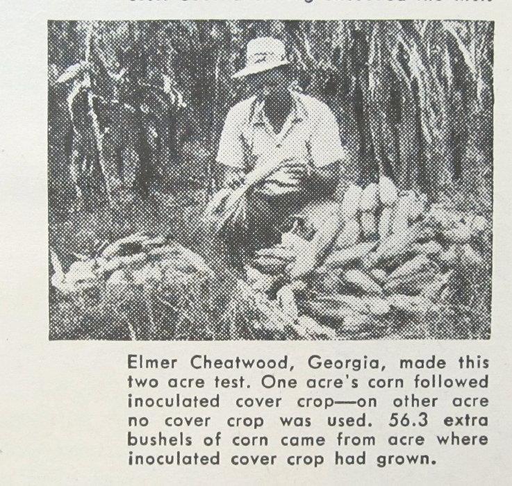 Original 1951 Fertilizer Ad featuring Farmer Elmer Cheatwood of Georgia