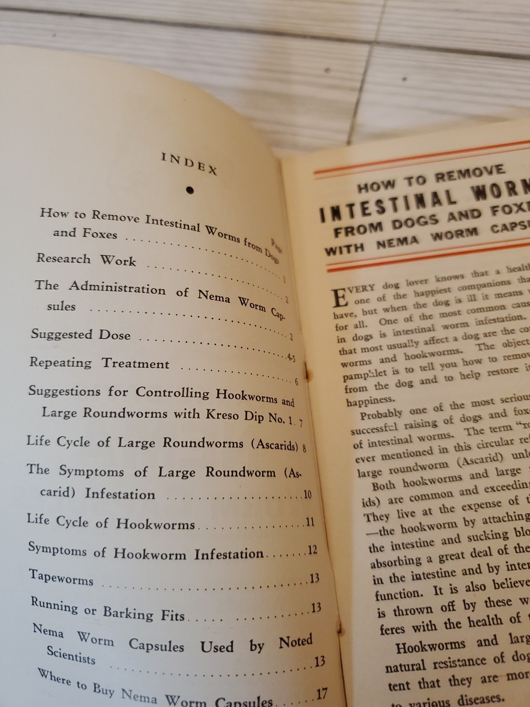 1927 NEMA Worm Capsules Prevention of Dog Diseases Parke Davis & Co. Brochure