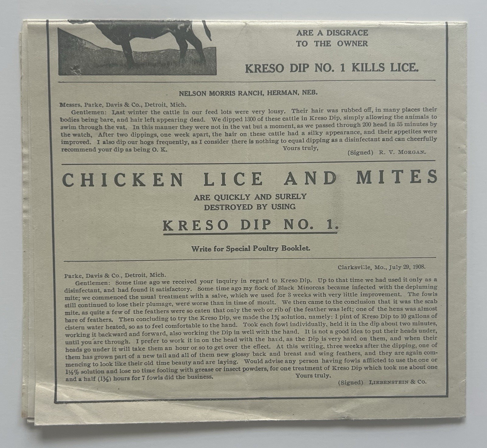 Vintage Kreso Dip No.1 Brochure Parke Davis Livestock Poultry Vet