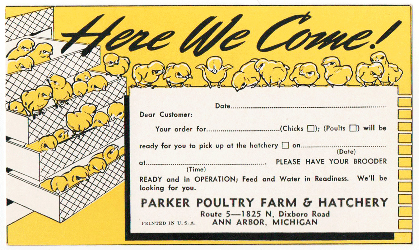 Ann Arbor Dixboro MI Parker Poultry Farm Hatchery Poults Poultry Brooder Unused