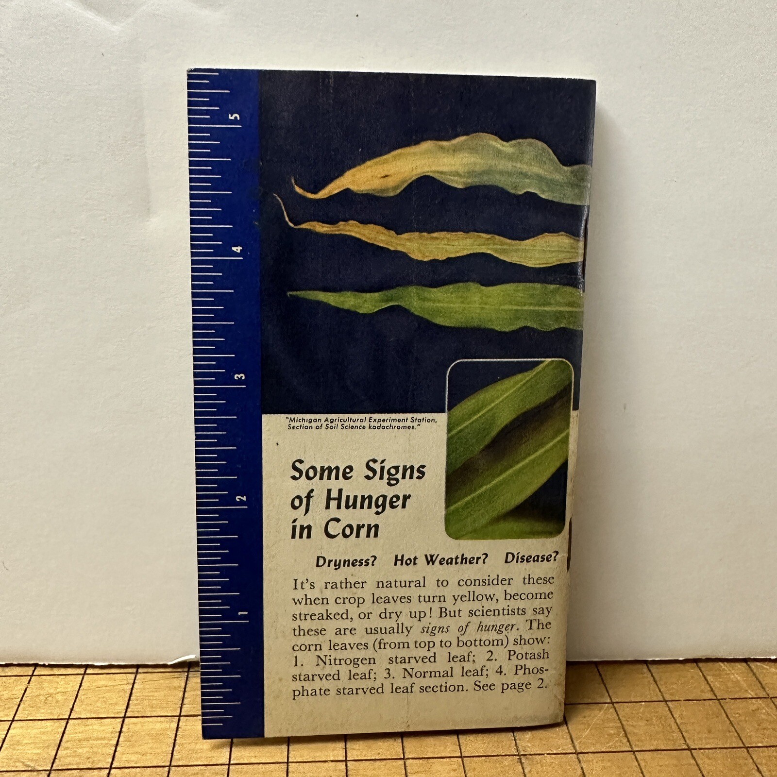 Vintage Advertising Swift&rsquo;s Plant Food Service Red Steer Memo Book