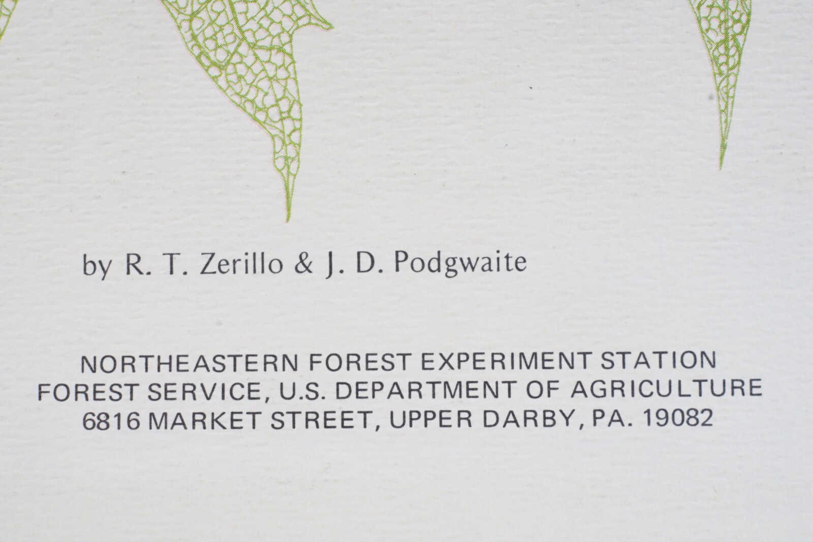 PA Vintage Agricultural Brochure Meet Gypsy Moth R.T. Zerillo and J.D. Podgwaite