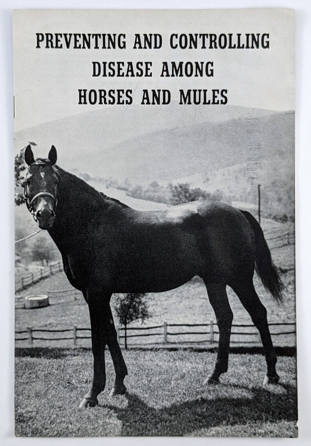 1946 Horse And Mule Association Brochure Preventing And Controlling Diseases