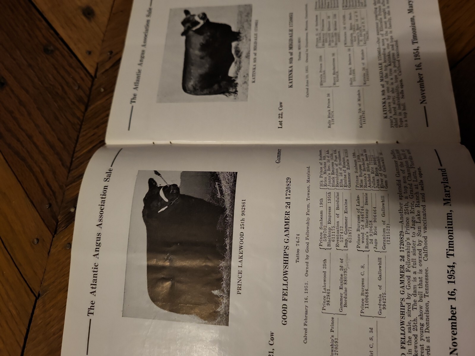1954 Atlantic Angus Association Sale Bill Aberdeen Cattle Maryland + genealogy