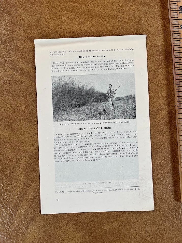 1948 US DEPARTMENT OF AGRICULTURE Bicolor Lespedeza QUAIL MANAGEMENT HUNTING
