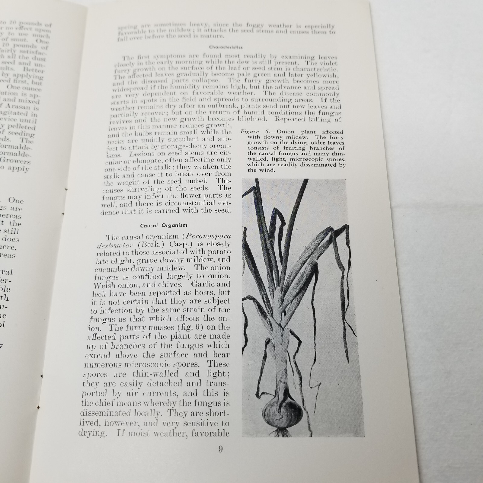 Onion Diseases Control 1947 Farmers&rsquo; Bulletin Booklet 1060 USDA Photos Charts