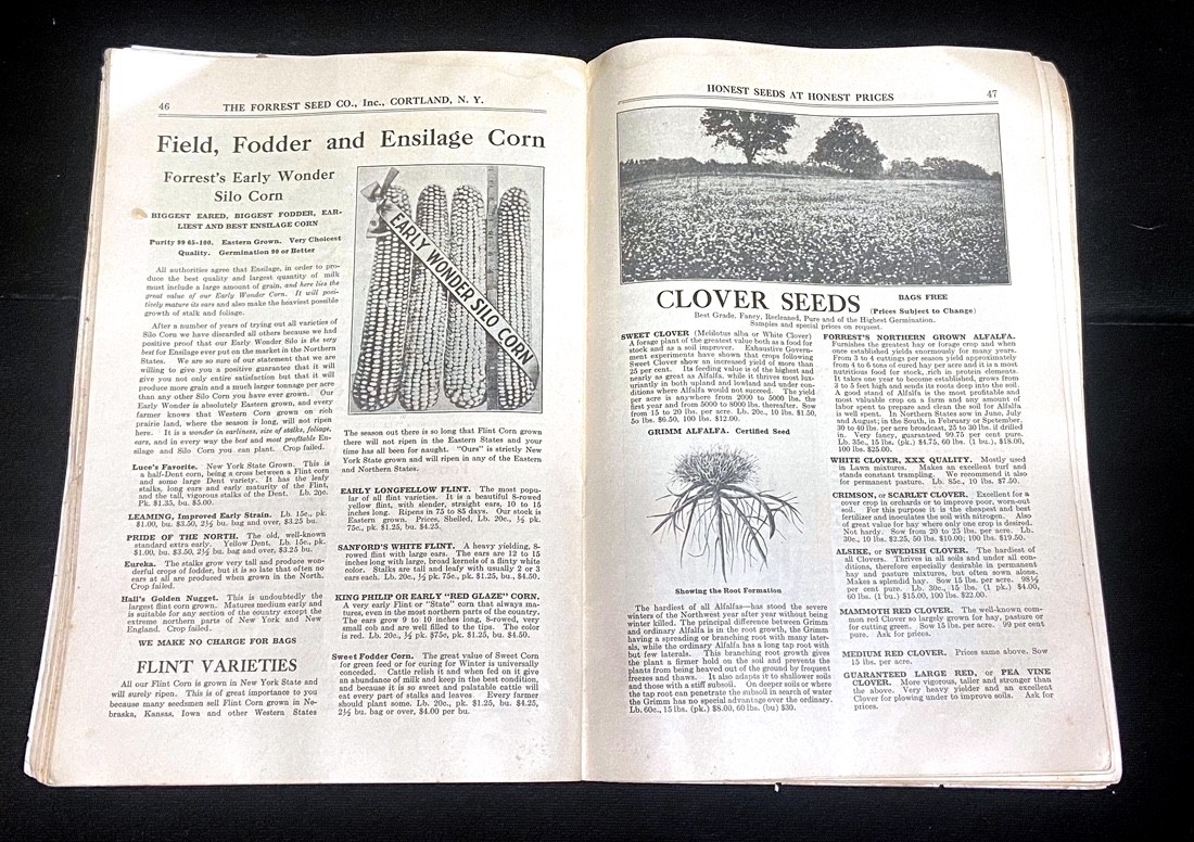 1925 and 1926 FORREST&rsquo;S HONEST SEEDS – FORREST SEED CO CATALOGUES – TWO Each 72p
