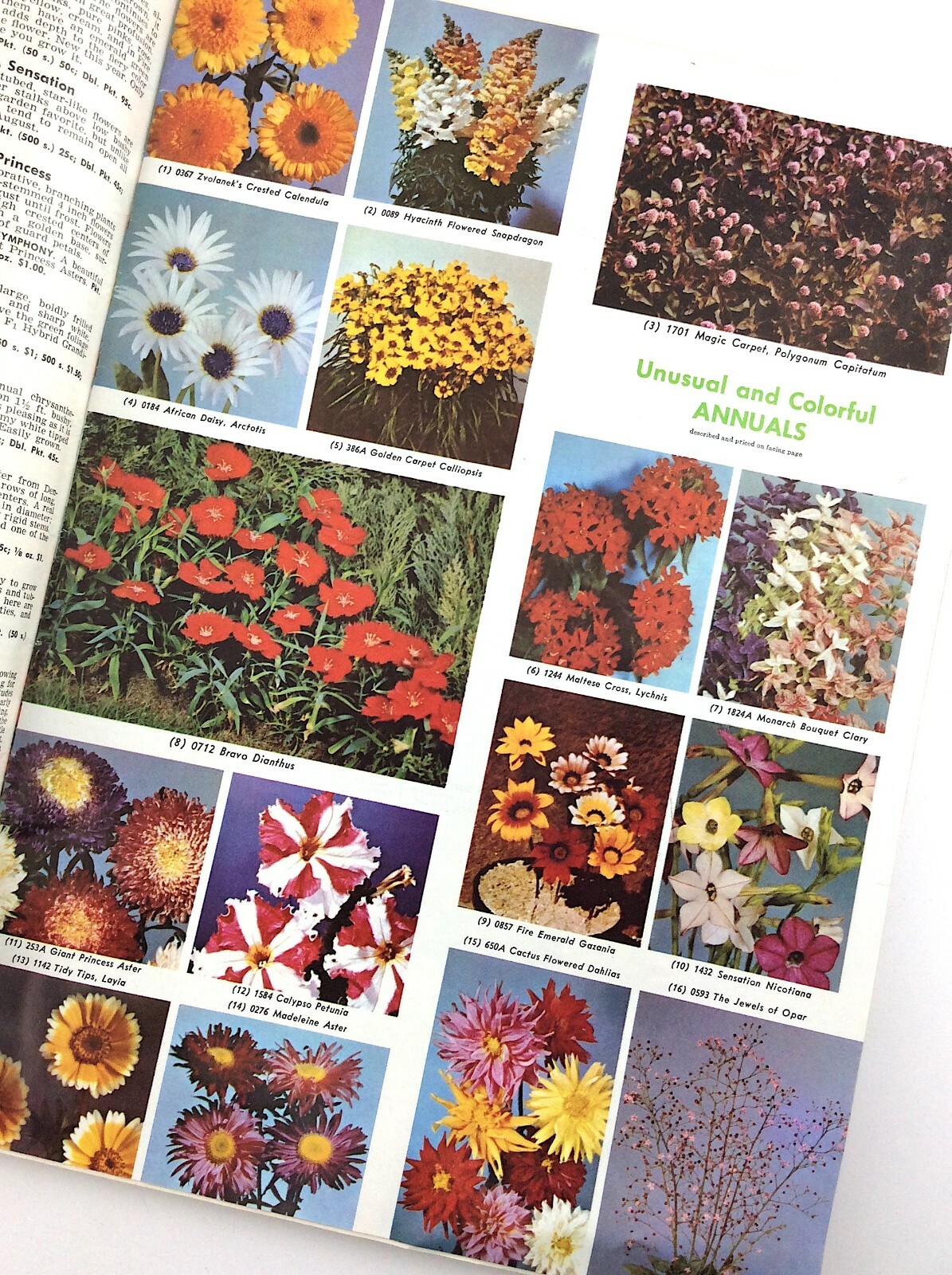 Parks Flower Book 1962 Greenwood South Carolina Garden Seed Catalog Q364