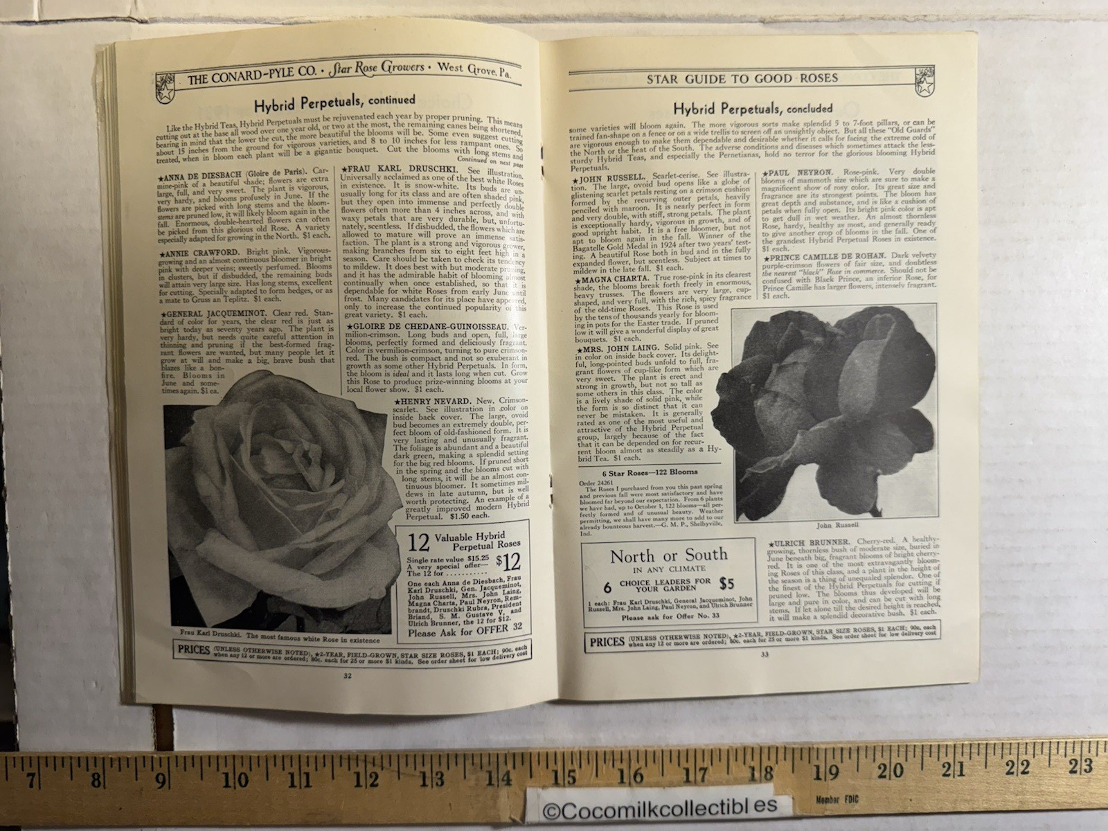 Vintage 1931 The Conard-Pyle CO Star Rose Growers Catalog West Grove PA