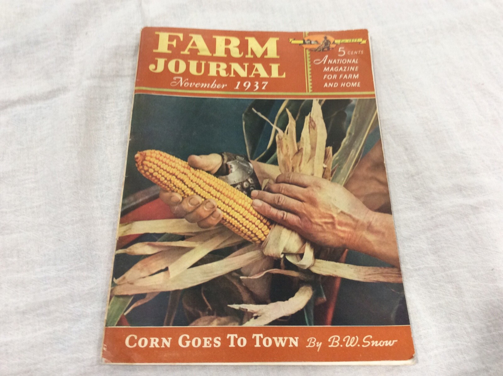 1937 Farm Journal Magazine Iowa State College Experiment Station W/Pigs Ames