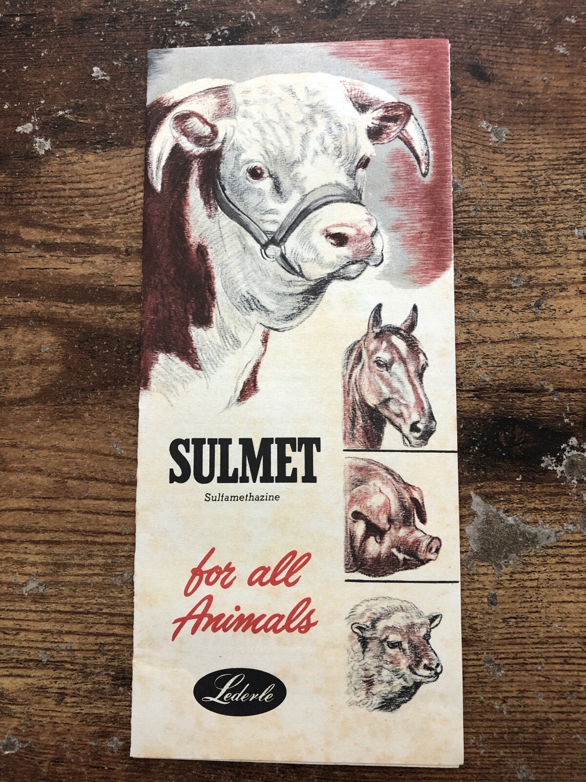 Vintage SULMET All Animals Brochure Lederle Labs CATTLE SWINE HORSE CALF SHEEP