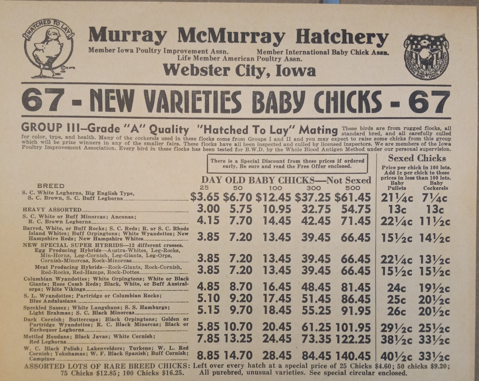 Vtg 1944 Murray McMurray Hatchery Webster City Ia Catalog Order Form Price List