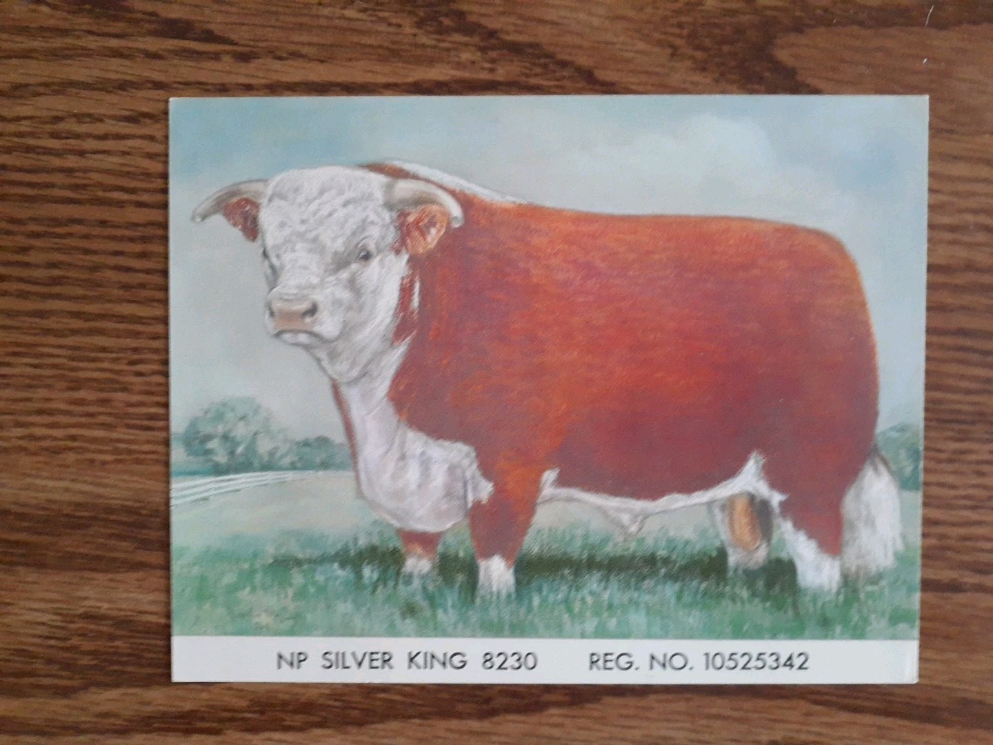 Np Silver King 8230 Registration No 10525342 Ad. Northern Pump Farms Vintage #2