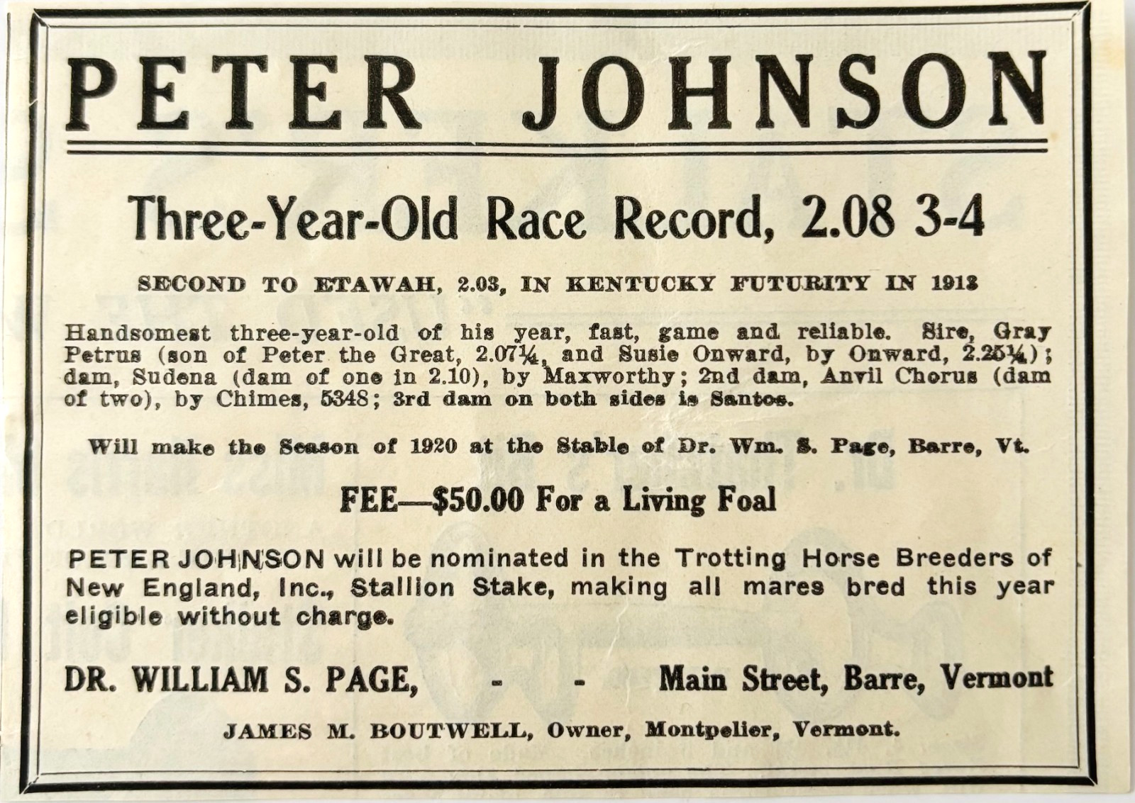 1920 Peter Johnson Stallion Breeding Horse Advertisement Futurity Vermont E4A