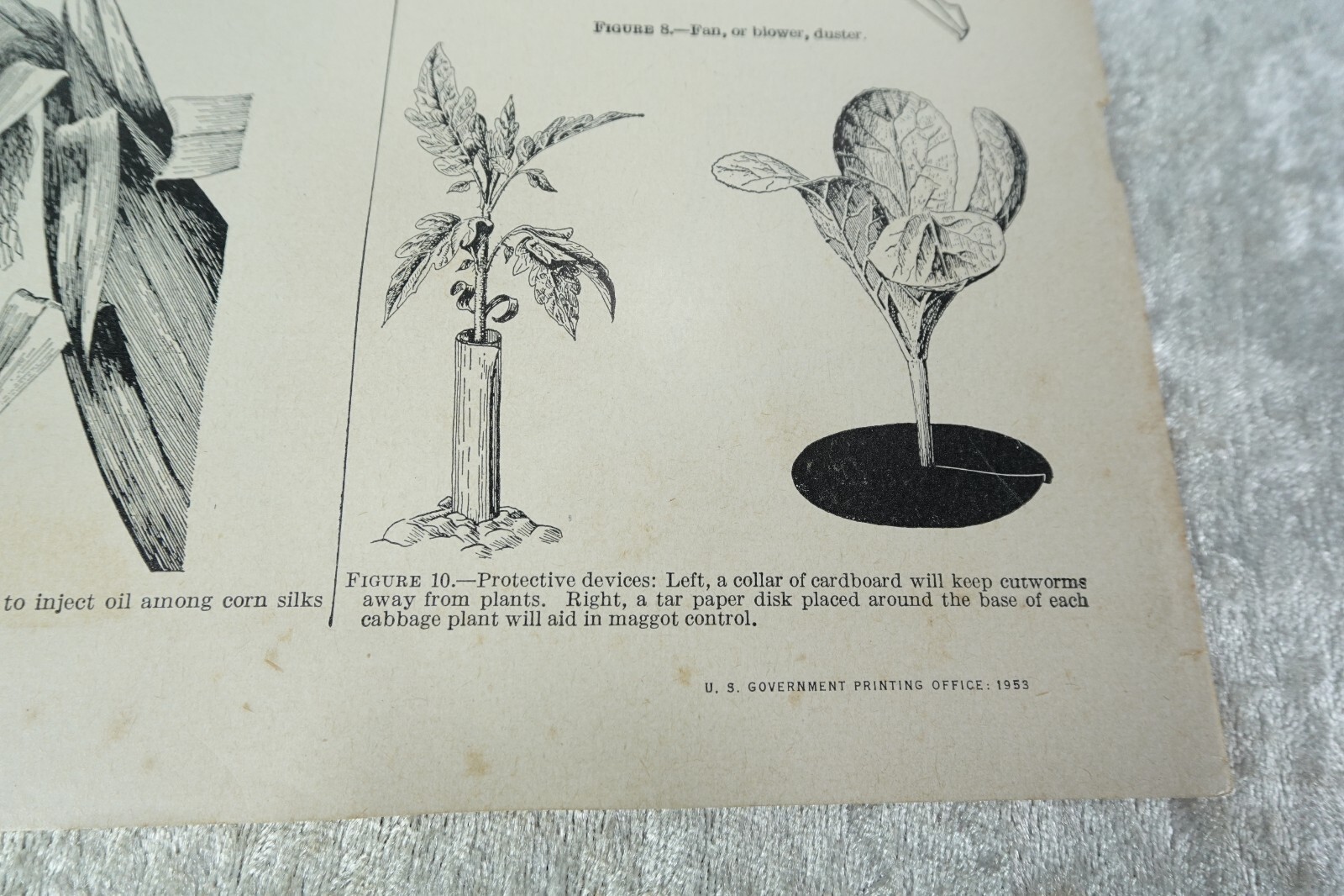 3 Vintage 1953, &rsquo;55 Vegetable Flower Gardener Handbooks Park Seed Catalog 1976