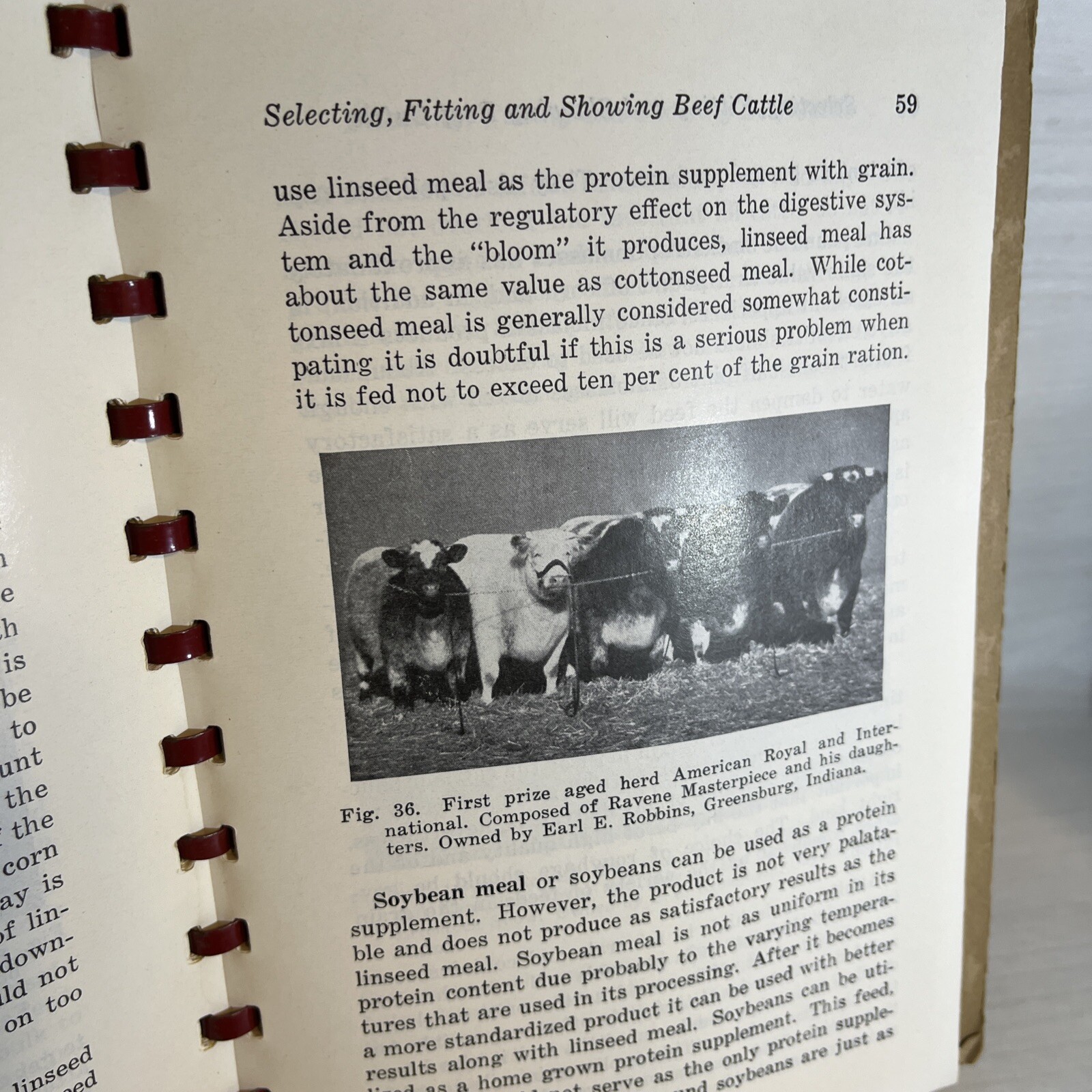 Beef Cattle Selecting Fitting Showing Nord Be Lattig Fourth, Edition, 1948
