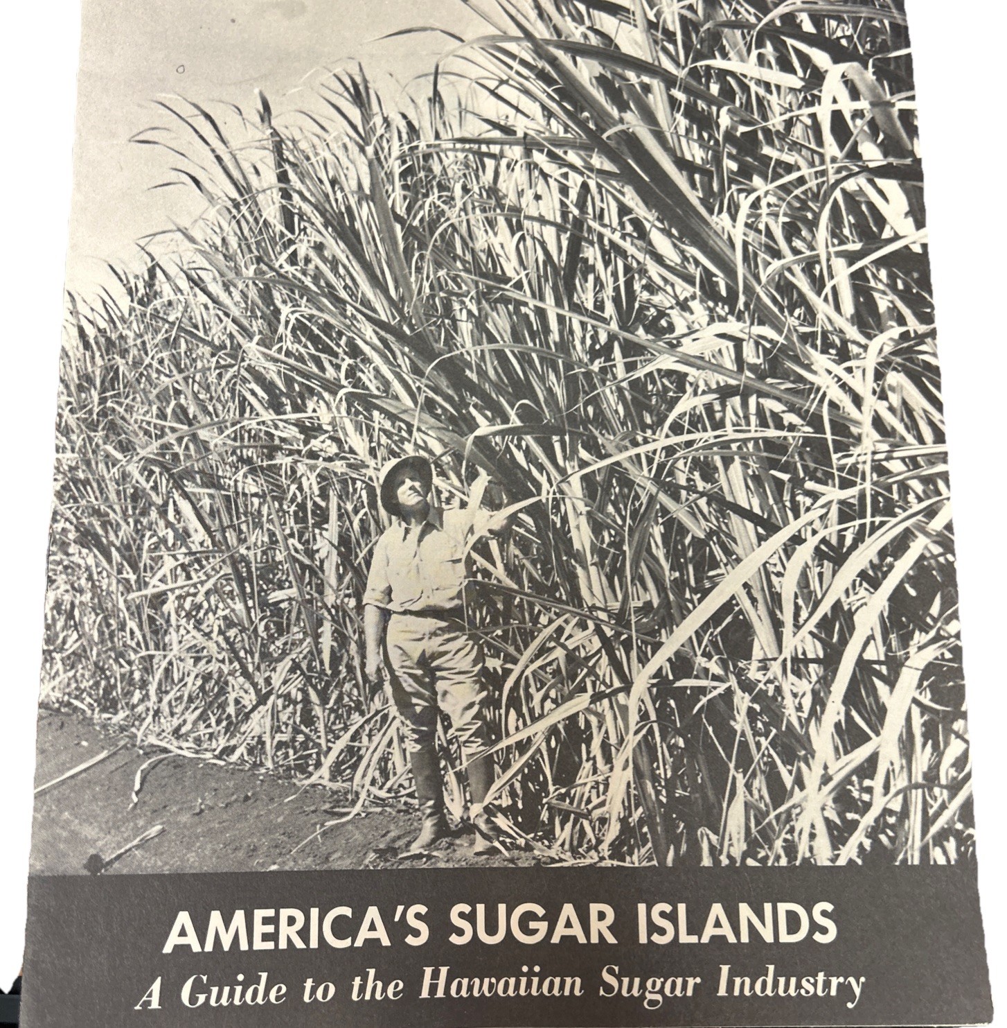 1964 Hawaiian Sugar Cane Industry Vintage Print Advertising Pamphlets Education