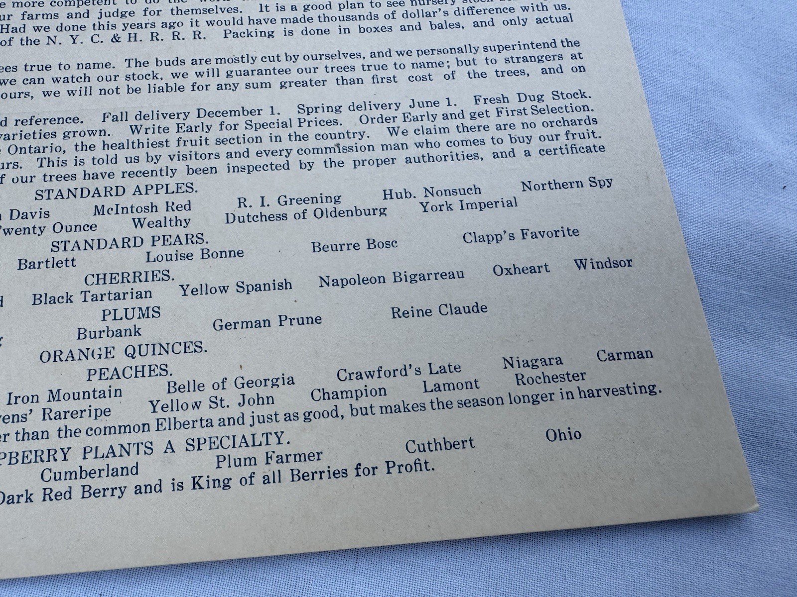 Vintage 1940&rsquo;s Sales Mailer Postcard J H Teat&rsquo;s Sons Williamson NY Peach Apple